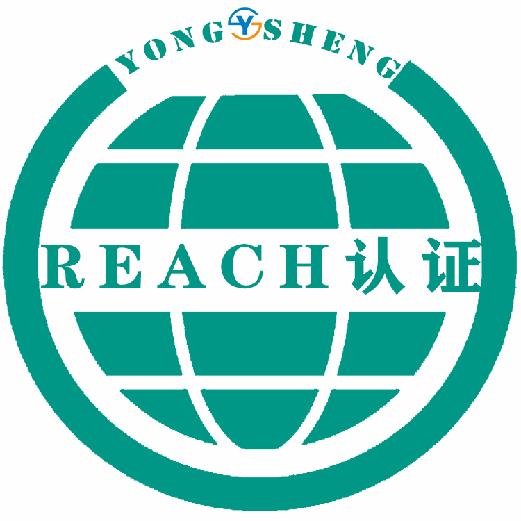 宁夏REACH服务 机构