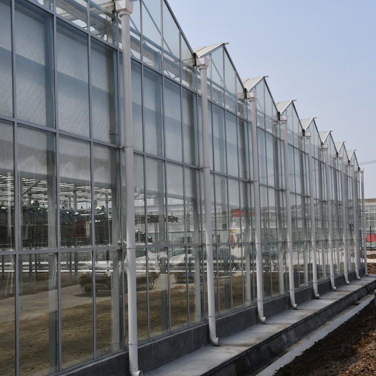 建达JD 玻璃大棚定制 连栋玻璃温室 智能温室 农业大棚