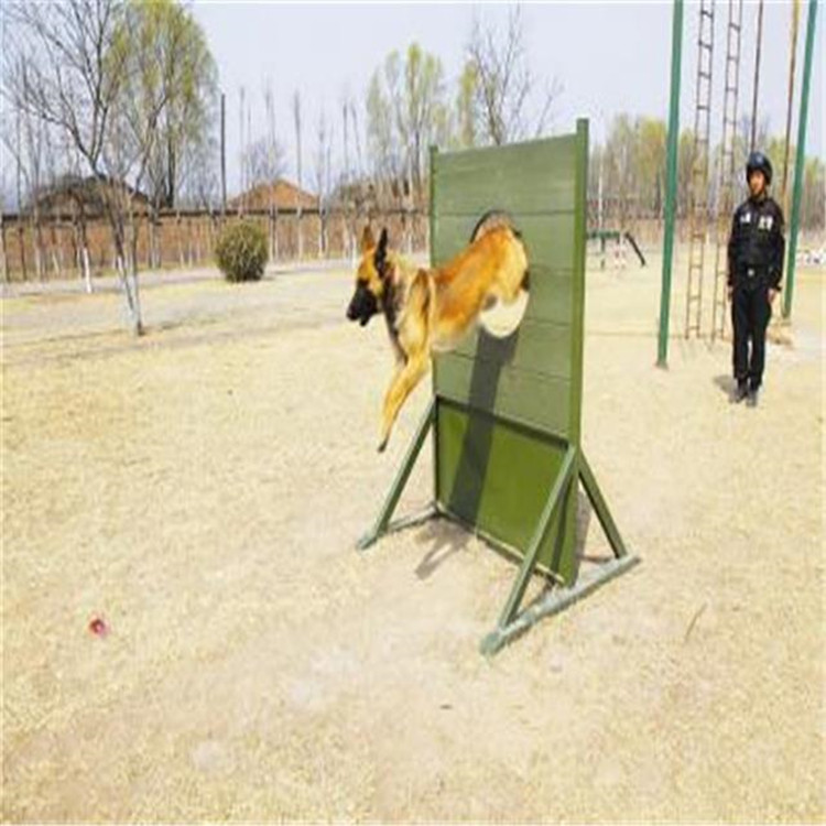 警犬户外训练障碍器材 加工生产 宠物犬训练器材