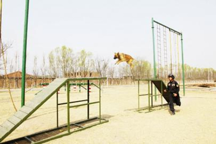 警犬训练场设施