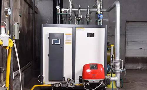 蒸汽发生器 清远300公斤生物质蒸汽发生器 排放低