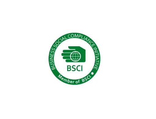 佛山BSCI认证代理 公司