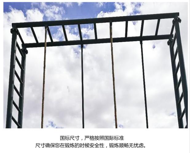 西宁木制攀爬架厂家 胜川体育器材 木制攀爬架