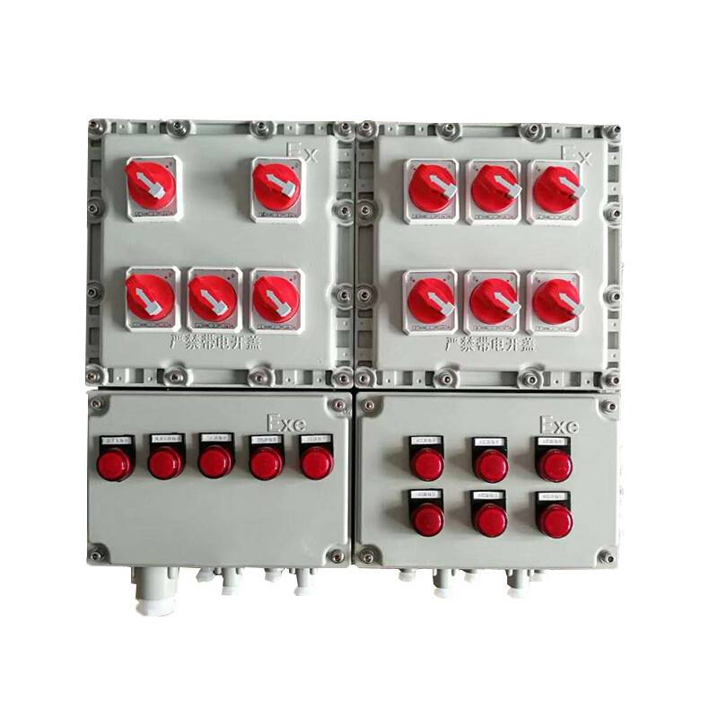 BXJ接线箱200 300 400分线箱仪表控制开关动力配电柜户外防水接线盒