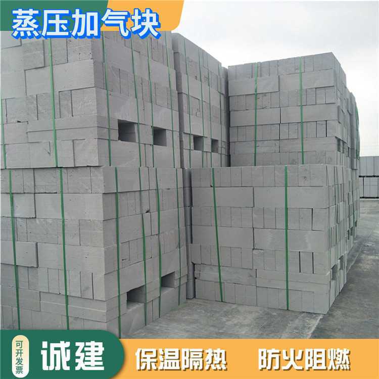 鹤壁-粉煤灰加气块 / 砌块砖 生产厂家