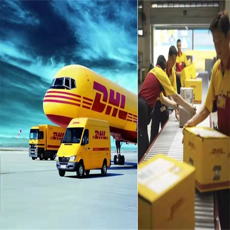 南京DHL寄食品