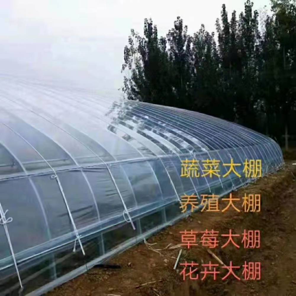 温室大棚管 蔬菜种植棚 PC阳光板温室 椭圆大棚管 养殖棚