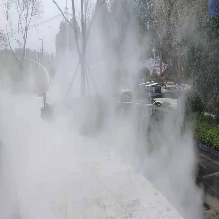 武威雾森系统 人造雾设备厂家 人间仙境