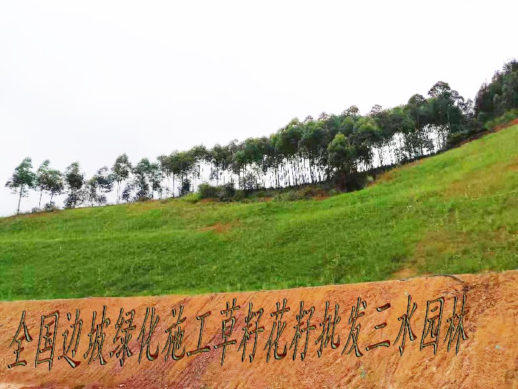 贵州黔东南台江县边坡绿化客土喷播施工队伍