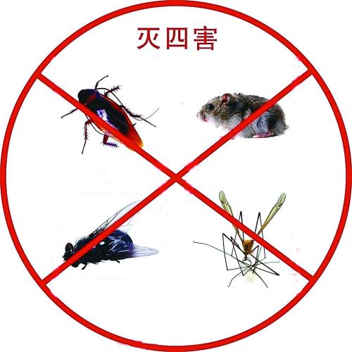 佛山禅城区食品厂杀虫施工电话 灭老鼠 佛山贝斯特品牌有害生物防控技术