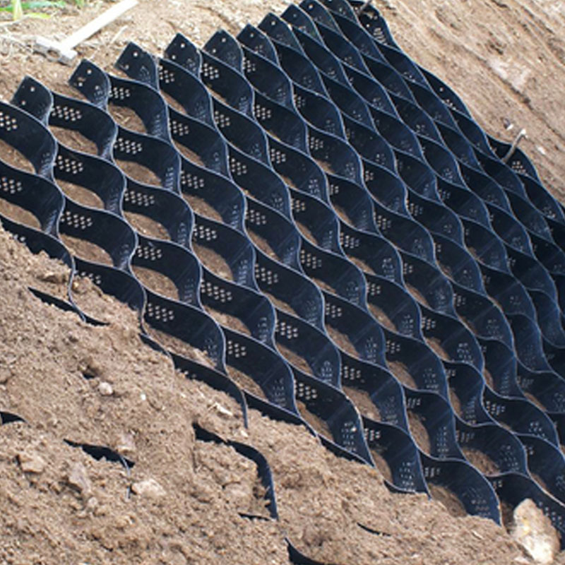 植草护坡地基加固蜂巢塑料土工格室 压纹打孔平面土工格室