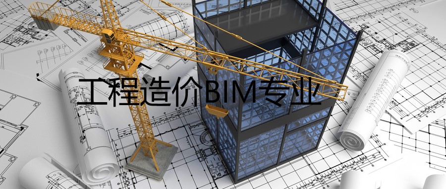 BIM在工程造价中的合理运用