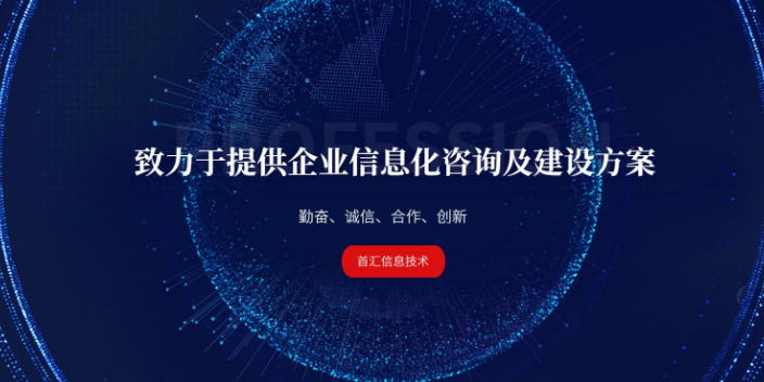 天津报表管理微服务架构模式 来电咨询 首汇信息供应