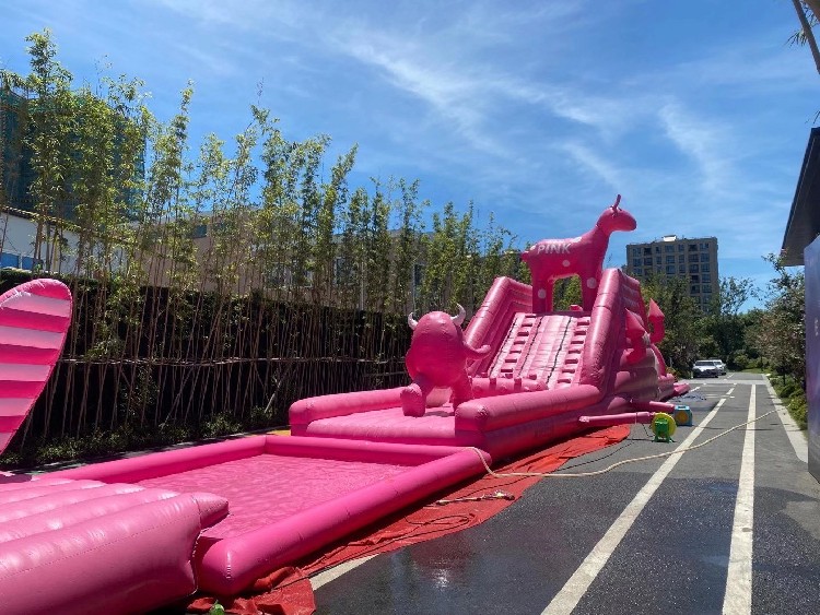 台州定制粉色滑道厂家,游乐设备制造