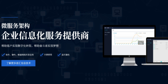 天津报表管理微服务架构模式 来电咨询 首汇信息供应