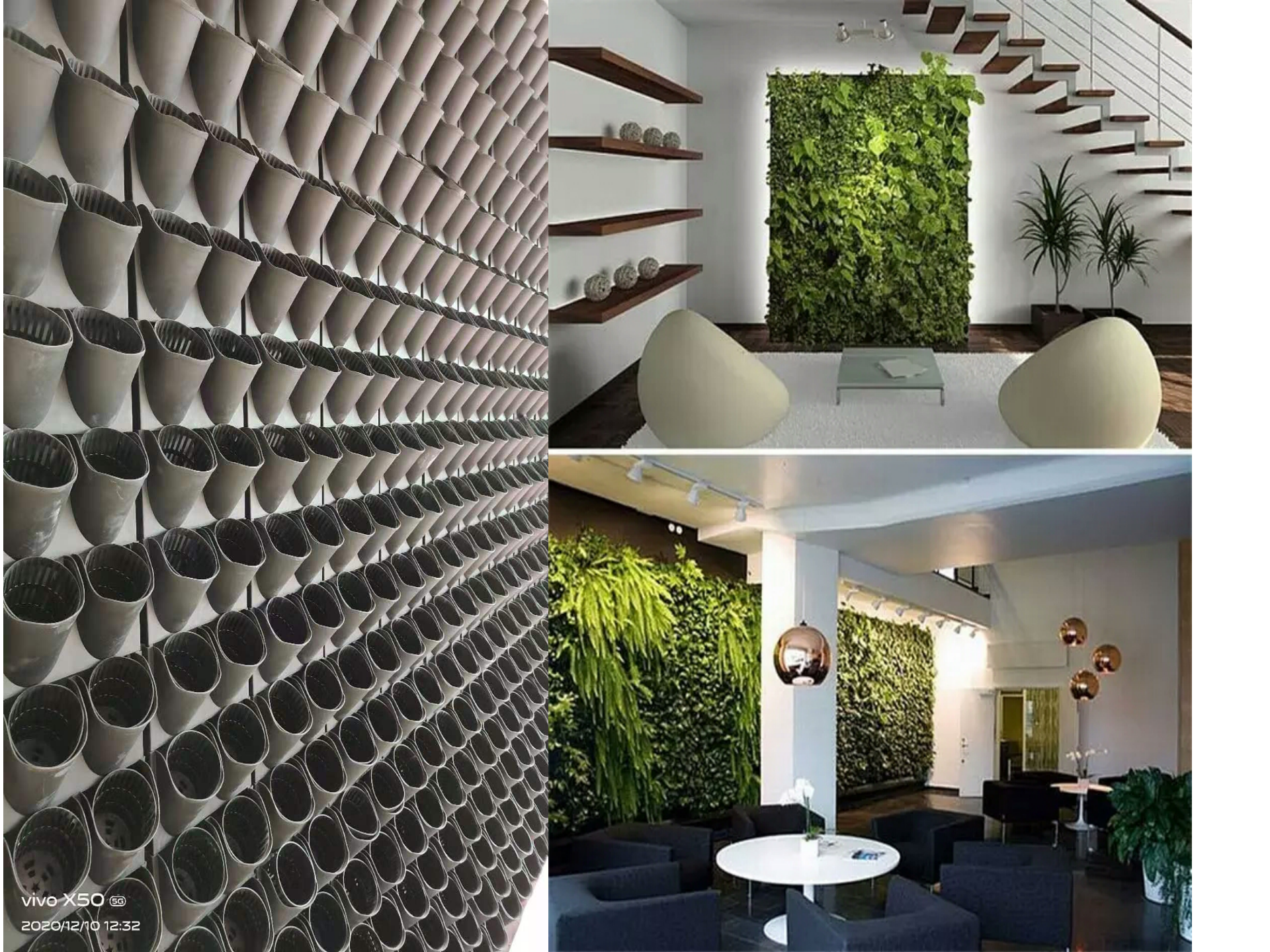 圣恩园艺 垂直绿化 围挡墙体绿化设计围挡墙面绿化公司 室内生态墙安装