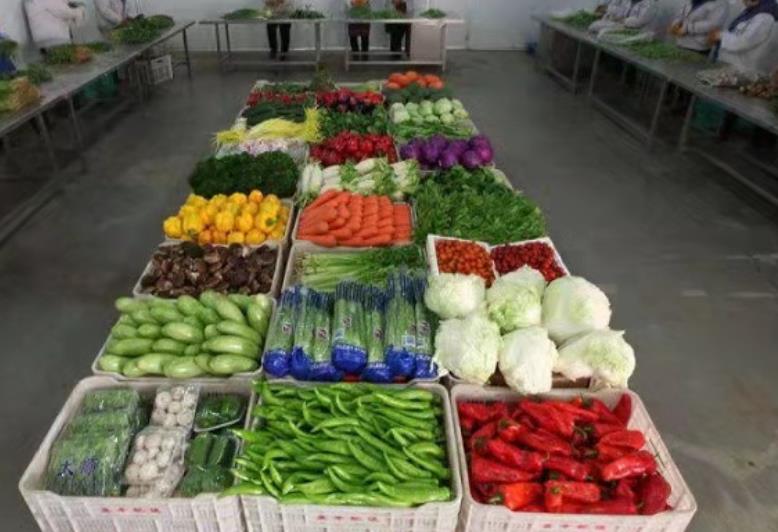 罗阳镇生鲜果蔬配送公司 提供新鲜平价一站式蔬菜批发服务