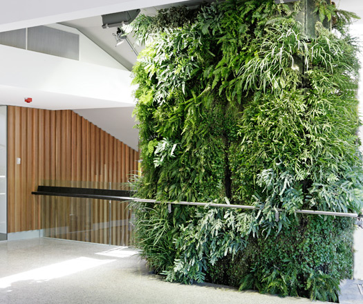 坡面绿化墙 坡面绿化植物墙设计方案-圣恩园艺