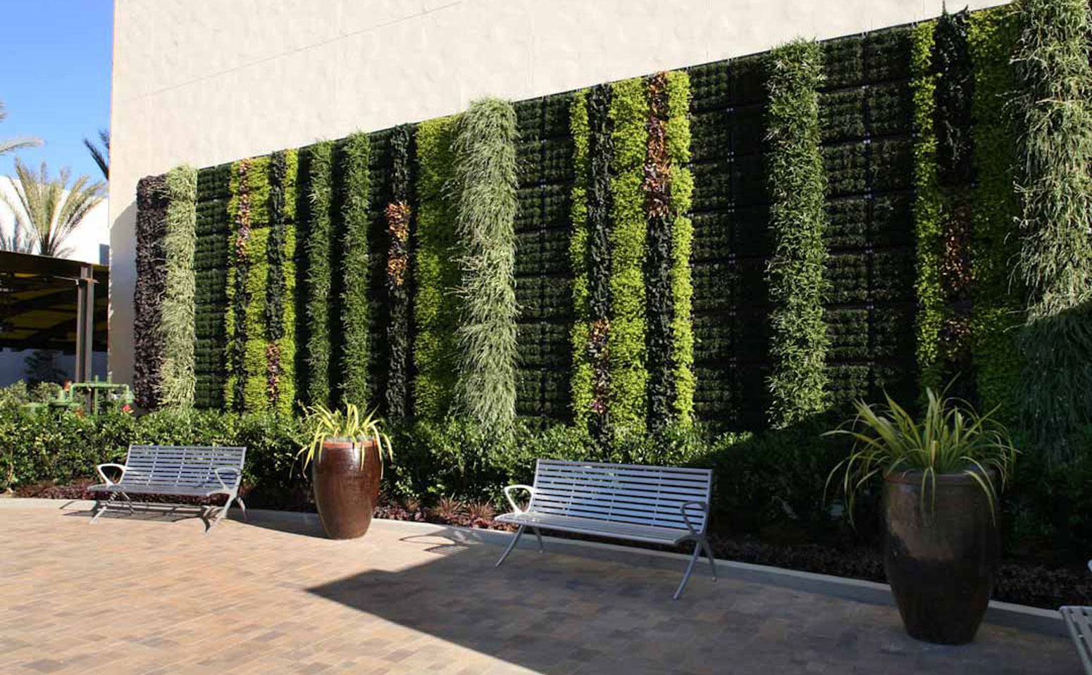 合肥 植物墙 环保植物墙