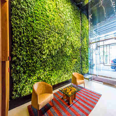 立体园林绿化 垂直绿化植物墙公司-圣恩园艺