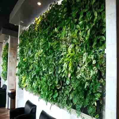植物墙定制 绿植墙设计立体绿植墙公司 墙体绿化墙体绿化公司 圣恩园艺