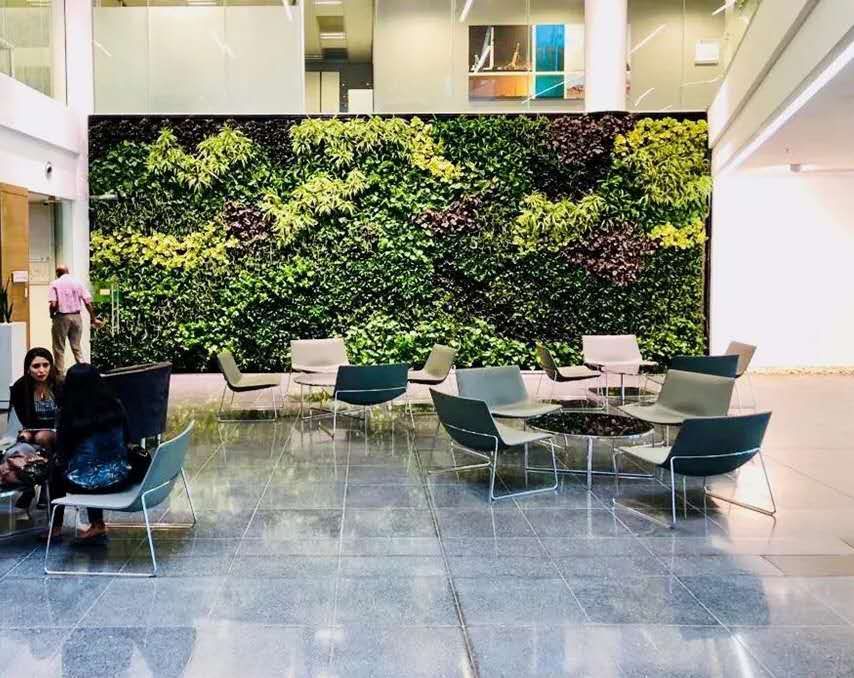菏泽 圣恩生态植物墙 生态植物墙设计
