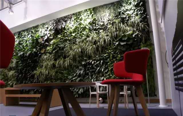外墙立体绿化 围挡墙围挡墙面绿化真植物墙定制 圣恩园艺