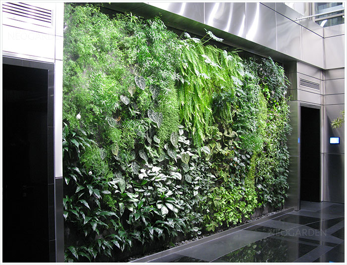环保植物墙 垂直绿化植物墙设计垂直绿化装饰公司 圣恩园艺