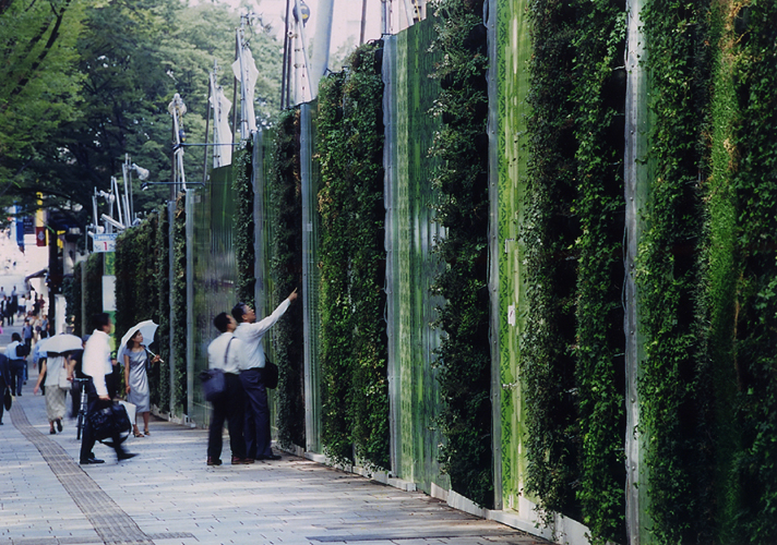 围挡植物墙 优质植物墙景观 绿植墙工程定制 圣恩园艺