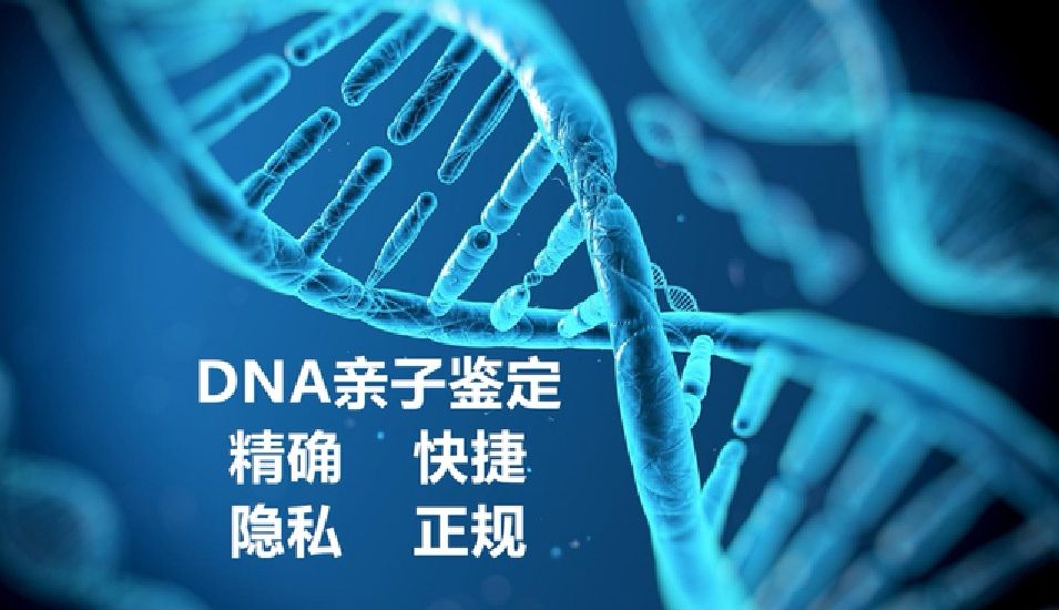 桂林在什么地方能做隐私亲子鉴定 多基因位点检测准确度高