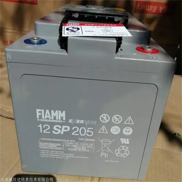 FIAMM非凡蓄电池12SP205 12V205AH医疗设备及仪器仪表设备