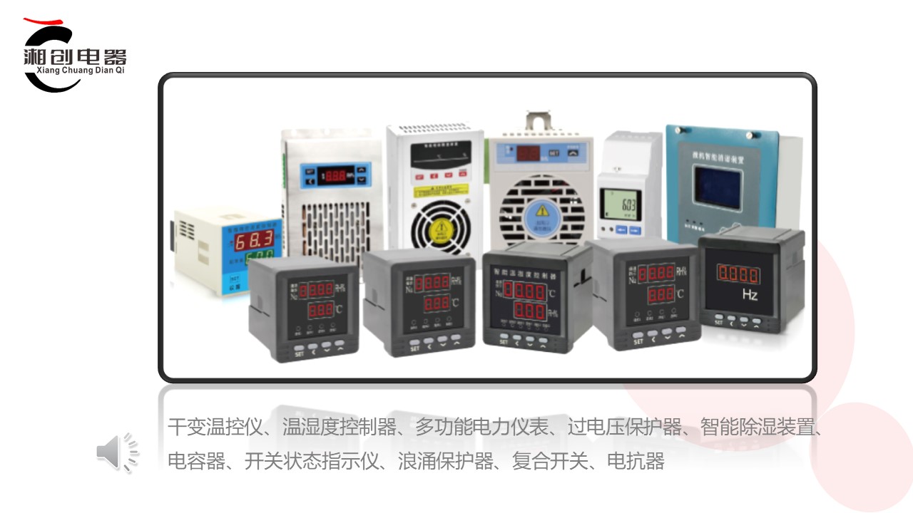 温湿度控制器 PD28-2A2-22的养护