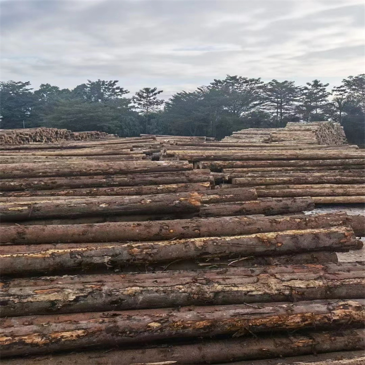 东莞澳松木方批发 地板的龙骨 渗透能力强