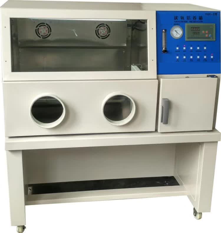 厌氧培养箱 YQX-I 微生物无氧实验室手套箱式设备 厌氧菌研究** 厌氧培养箱 YQX-I 微生物无氧实验室手套箱式设备 厌氧菌研究**