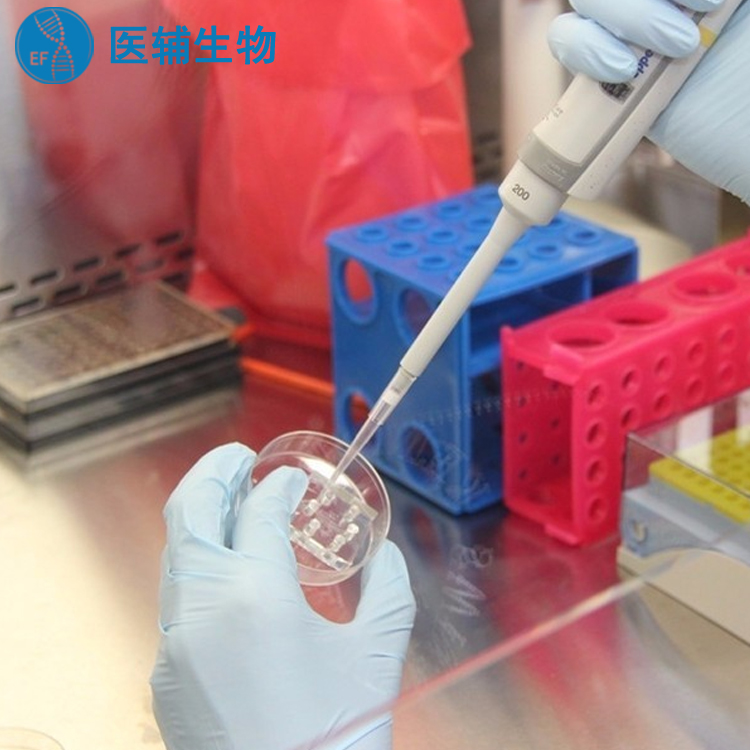 广州增城亲子鉴定正规机构 清远华远基因科技有限公司