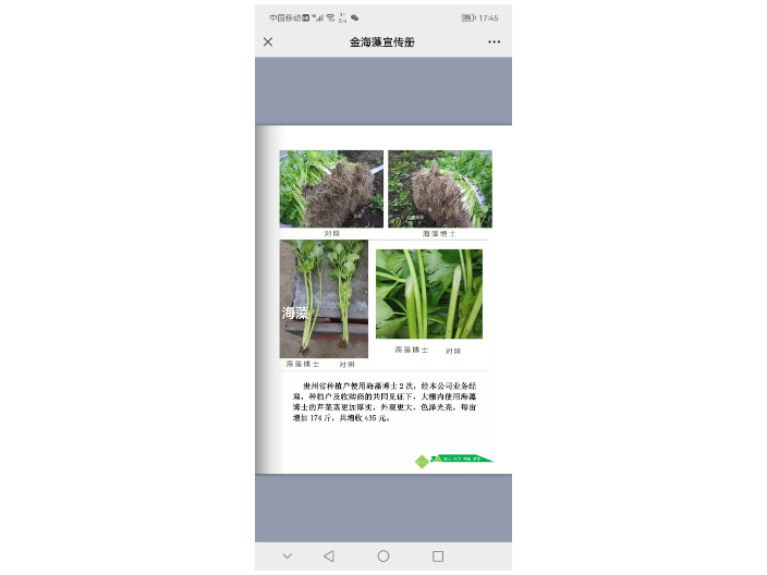 江西**海藻肥品质 上海思卫特生物科技供应