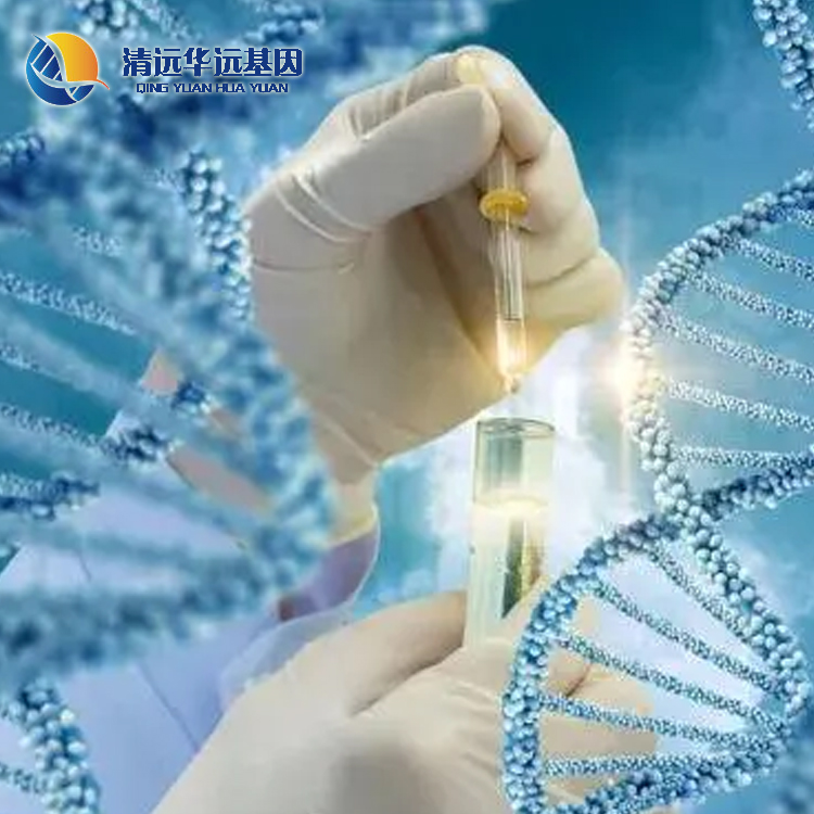 清远血缘关系鉴定需要的材料 清远华远基因科技有限公司