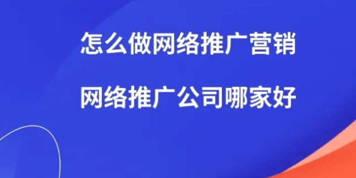 合川区什么是网络营销 服务至上 重庆释尊信息科技供应