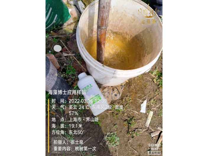 河北工厂化培育海藻肥抗寒 上海思卫特生物科技供应