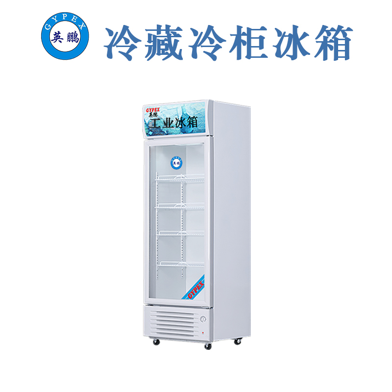 北京醫療冷藏柜300L，節能環保