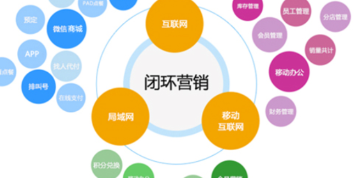 璧山区网络网络营销推广方案 值得信赖 重庆释尊信息科技供应