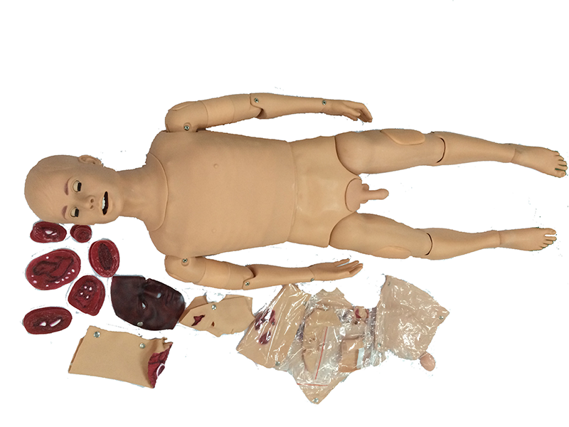 辛达弗创伤与CPR模拟病人