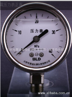 北京布莱迪BLD不锈钢耐震压力表YTHN-63.AOYTF-63H耐腐蚀