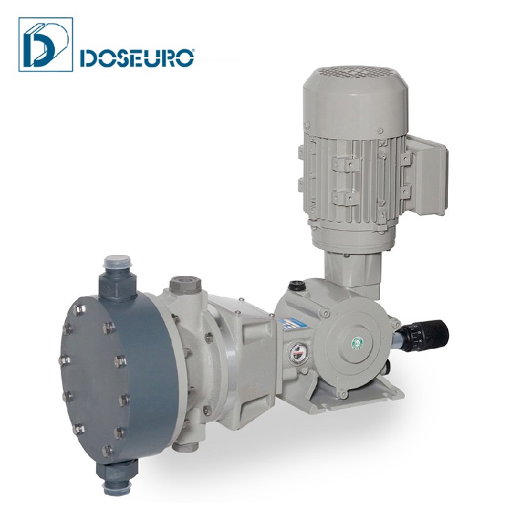 定制意大利DOSEURO进口机械隔膜计量泵材质