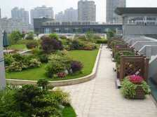 安庆 坡面生态绿化设计