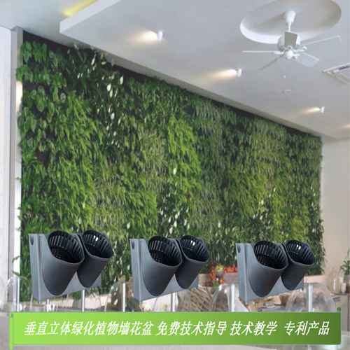 普洱围挡立体绿化 围挡植物墙立体绿化*