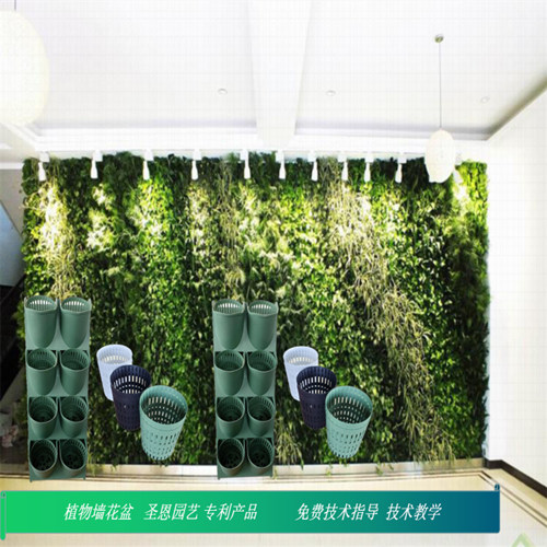 莱阳 绿植墙种植盒