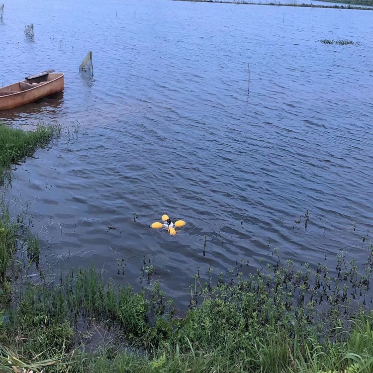 在线测水温终端