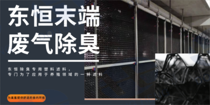 上海猪舍楼房整体通风系统信息推荐 服务至上 深圳市东恒科技供应