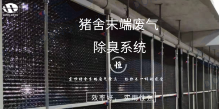 河北猪舍楼房整体通风系统创新服务 空气过滤 深圳市东恒科技供应